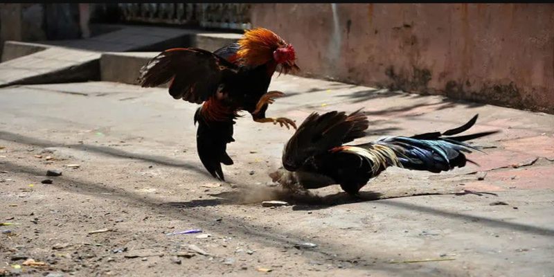 Quản lý mọi ngân sách