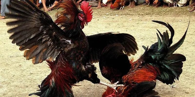 Tính năng đặc biệt thu hút game thủ