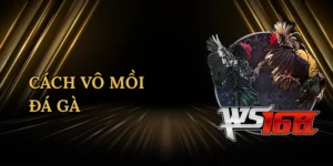 cach-vo-moi-da-ga-1