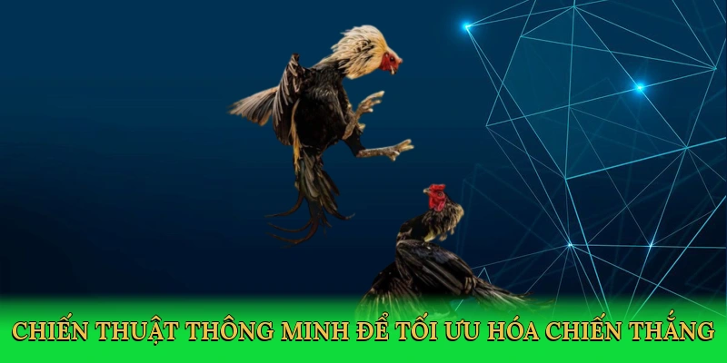 chien-thuat-thong-minh-de-toi-uu-hoa-chien-thang-4
