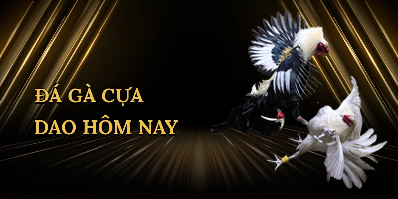 da-ga-cua-dao-hom-nay-1