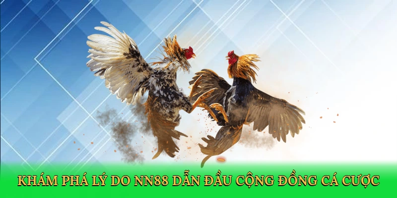 kham-pha-ly-do-nn88-dan-dau-cong-dong-ca-cuoc-3