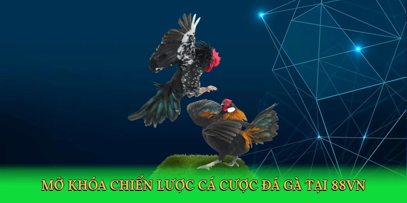 mo-khoa-chien-luoc-ca-cuoc-da-ga-tai-88vn-4