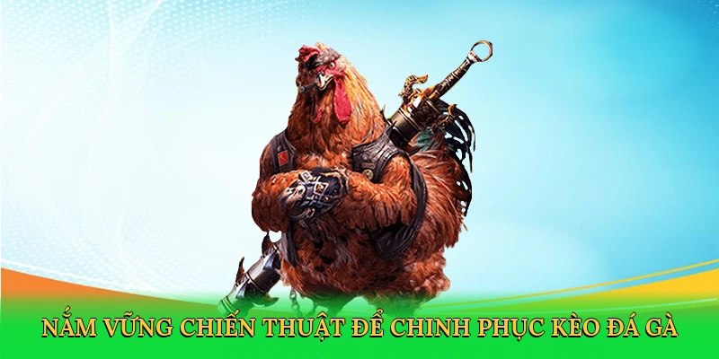 Nắm vững chiến thuật để chinh phục kèo đá gà