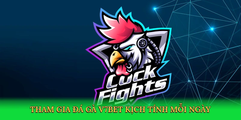 Tham gia đá gà V7BET kịch tính mỗi ngày