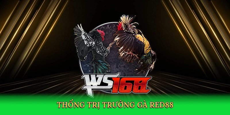 Thống trị trường gà RED88