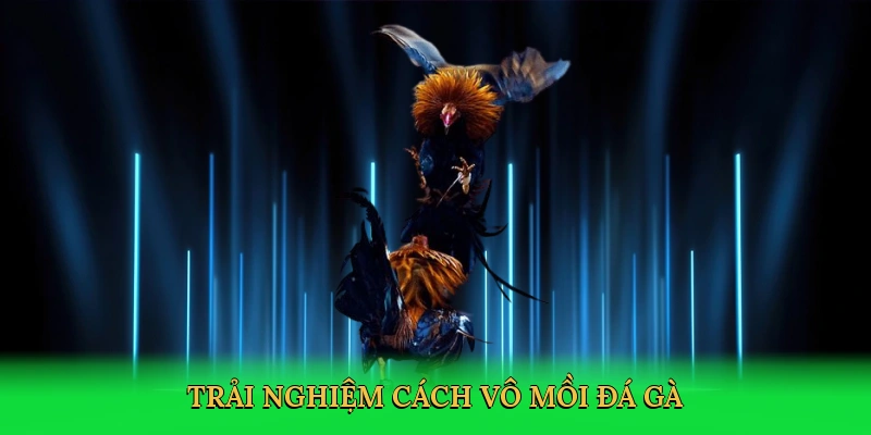 trai-nghiem-cach-vo-moi-da-ga-2