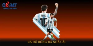 cá độ bóng đá nhà cái