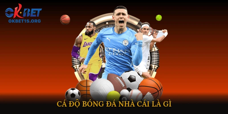 Cá độ bóng đá nhà cái là gì?