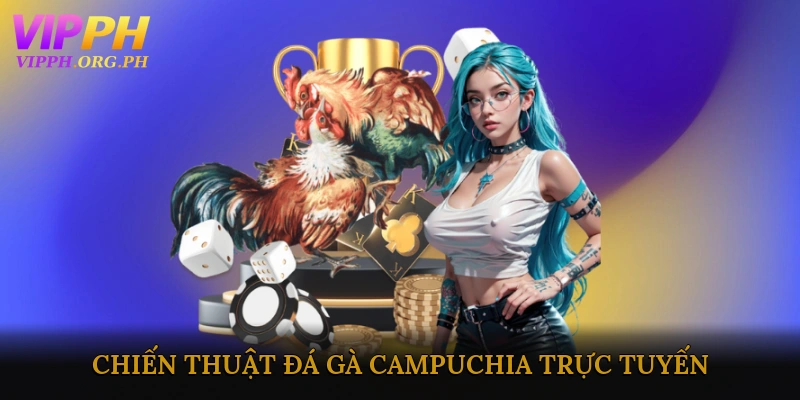 Kinh nghiệm và chiến thuật đá gà Campuchia trực tuyến