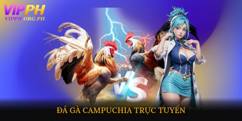 đá gà Campuchia trực tuyến