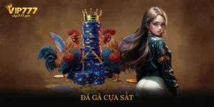 Đá gà cựa sắt