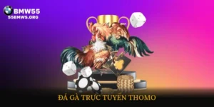 Đá gà trực tuyến Thomo
