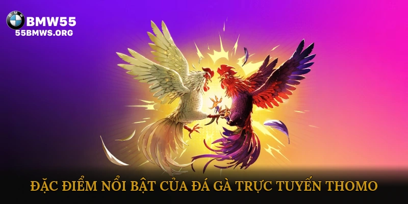 Đặc điểm nổi bật của đá gà trực tuyến Thomo
