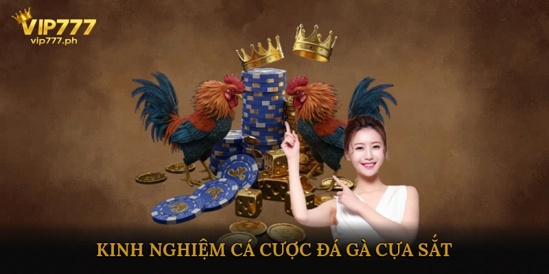 Kinh Nghiệm Cá Cược Đá Gà Cựa Sắt
