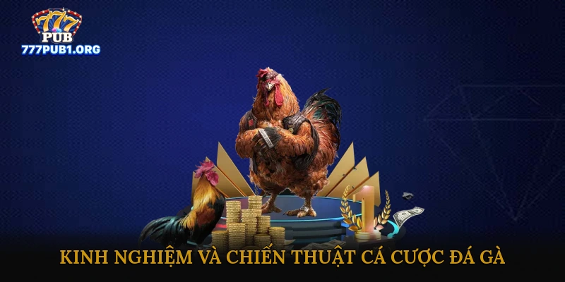 Kinh nghiệm và chiến thuật cá cược đá gà