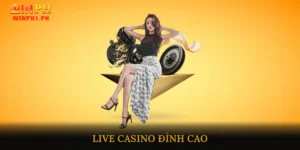 Live Casino đỉnh cao