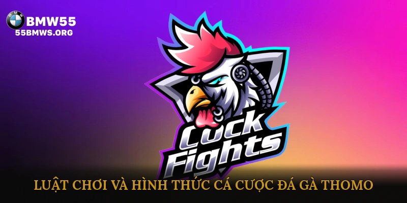 Luật chơi và hình thức cá cược đá gà Thomo