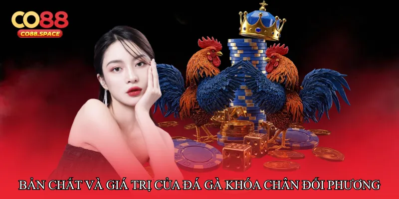 Bản chất và giá trị của Đá gà khóa chân đối phương