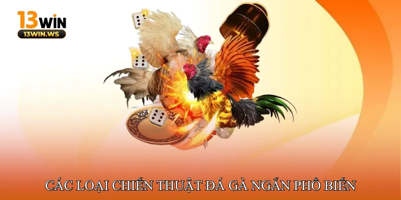 Các Loại Chiến Thuật Đá Gà Ngắn Phổ Biến