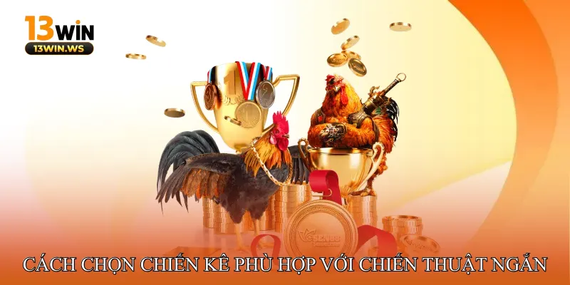 Cách Chọn Chiến Kê Phù Hợp Với Chiến Thuật Ngắn