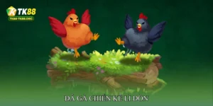 Đá gà chiến kê lì đòn