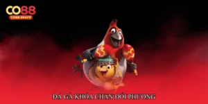 Đá gà khóa chân đối phương