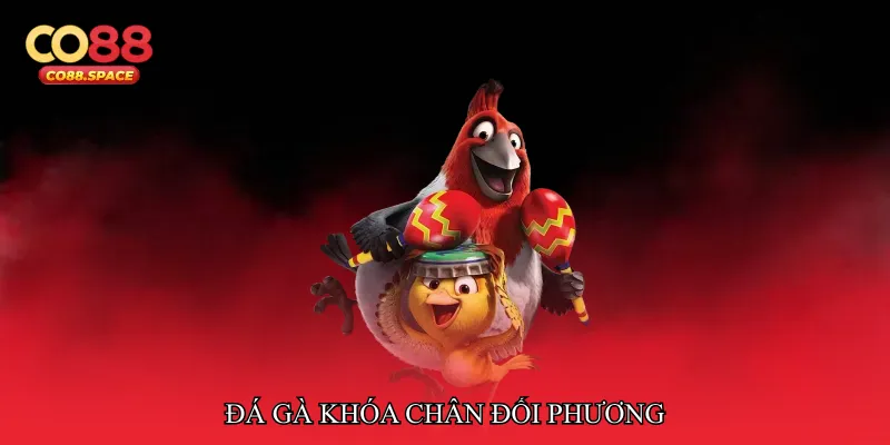 Đá gà khóa chân đối phương