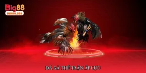 Đá gà thế trận áp lực