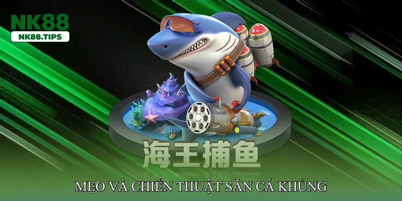 Mẹo và chiến thuật săn cá khủng