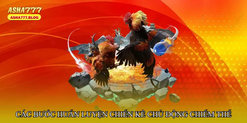Các bước huấn luyện chiến kê chủ động chiếm thế