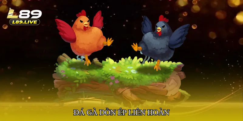 Đá gà dồn ép liên hoàn