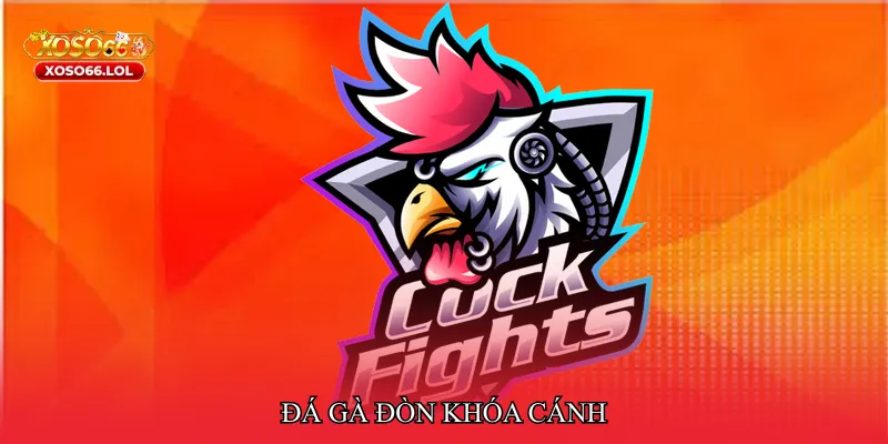 Đá gà đòn khóa cánh