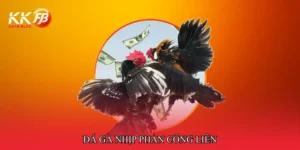 Đá gà nhịp phản công liên