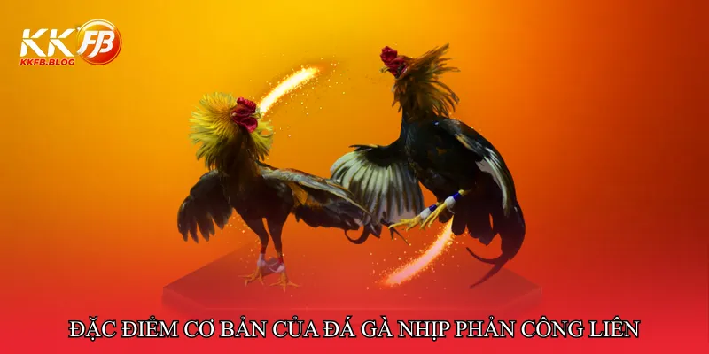 Đặc điểm cơ bản của Đá gà nhịp phản công liên