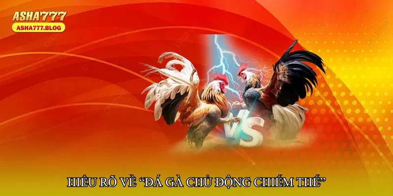 Hiểu rõ về “Đá gà chủ động chiếm thế”