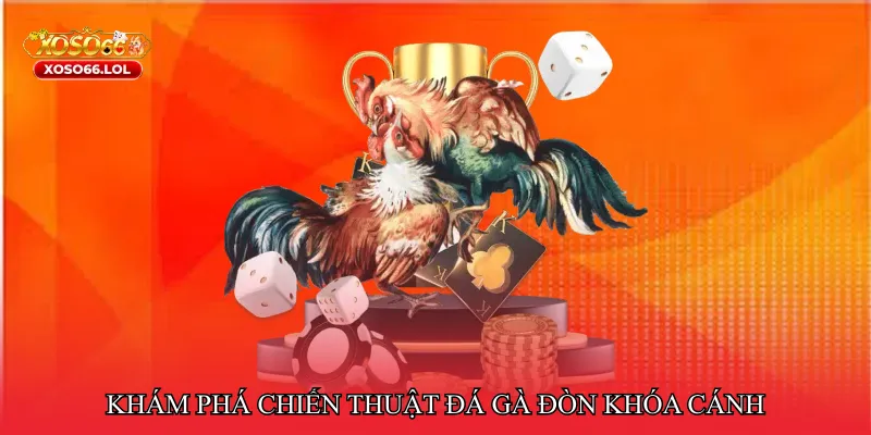 Khám phá chiến thuật Đá gà đòn khóa cánh