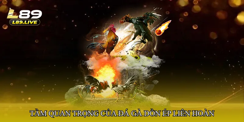 Tầm quan trọng của Đá gà dồn ép liên hoàn